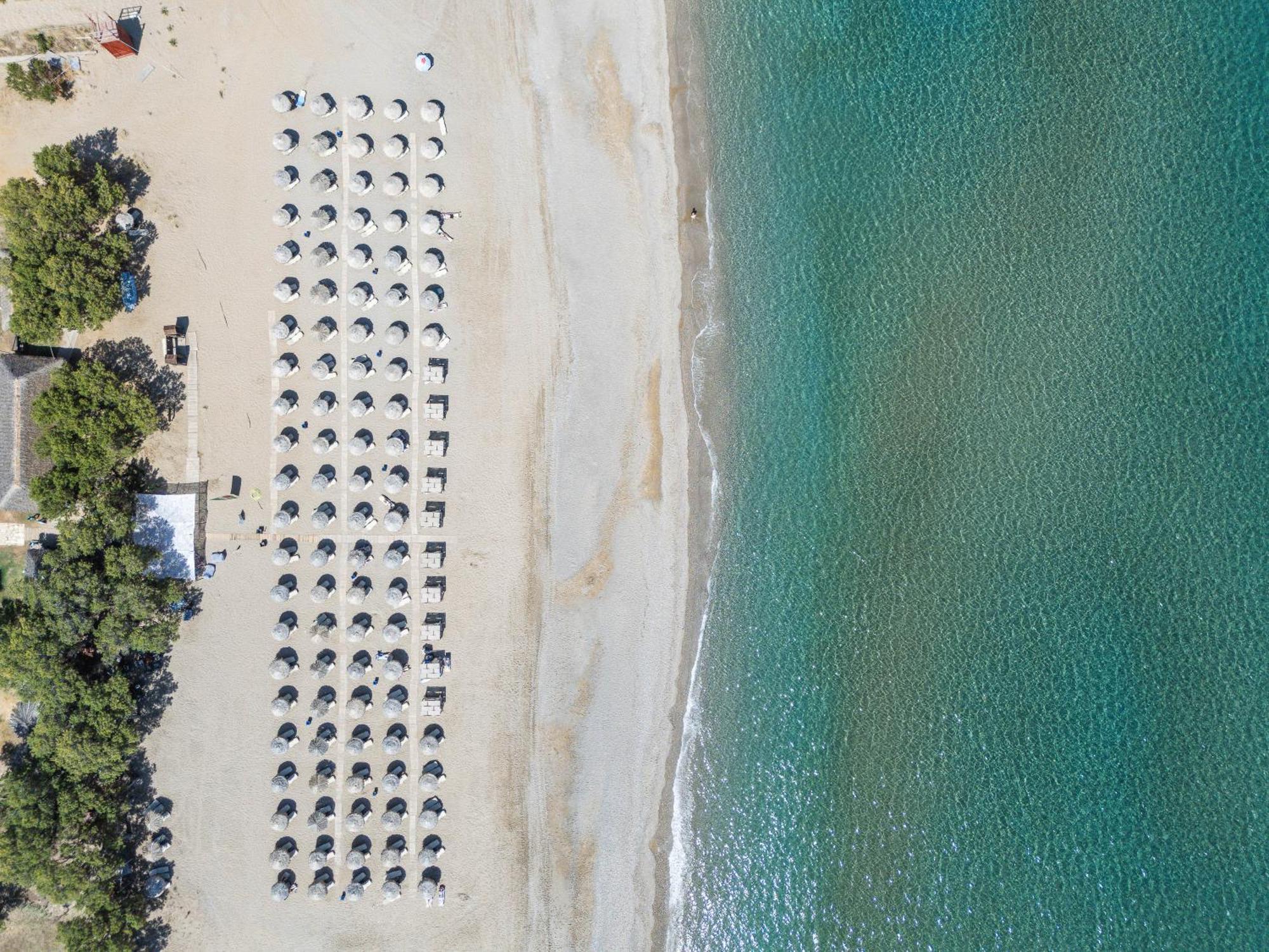 Hotel Iosifina, 80 Metres From Episkopi Beach! Dhramia Exterior photo